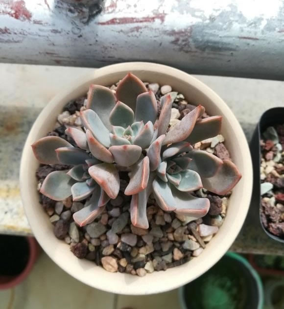 5fe05b37a29bc.jpg 04.jpg