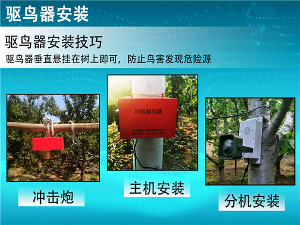 科技.jpg