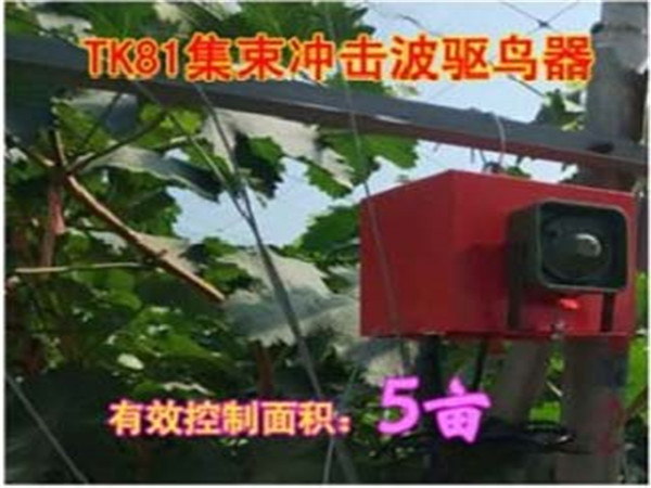 封面.jpg
