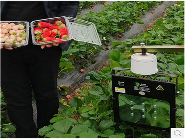 6041f45dc3bfd.png ea67087dfcc96862cfd00eb1d91d84c.png