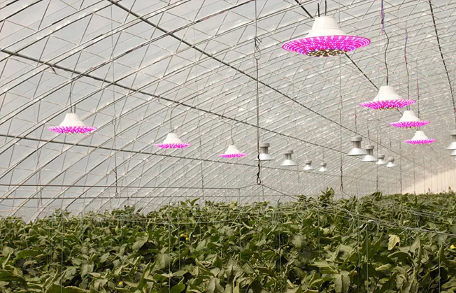 市场上有那些灯可以作为植物补光灯 植物生长灯分类
